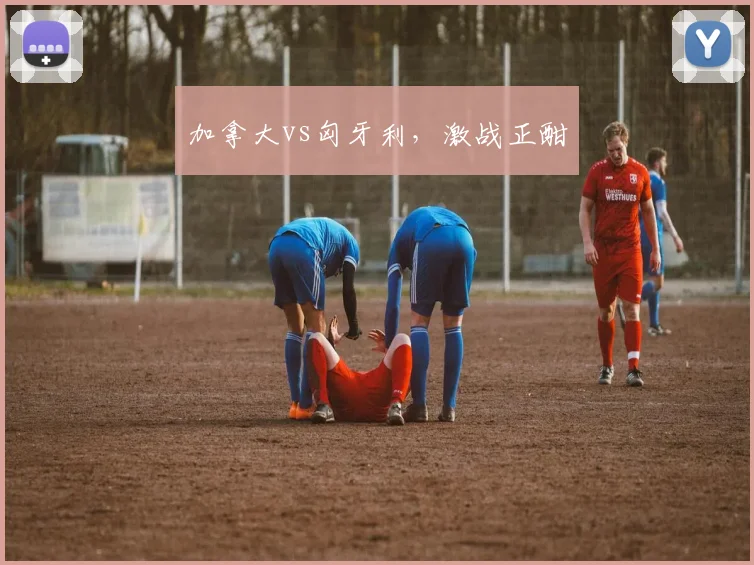 加拿大vs匈牙利，激战正酣