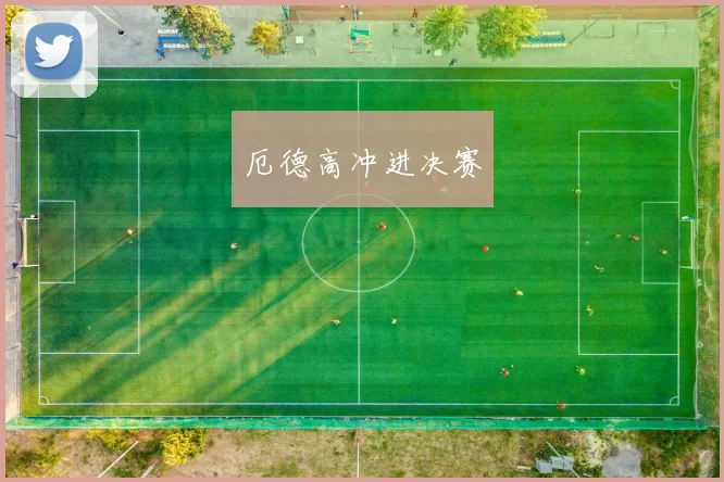 厄德高冲进决赛