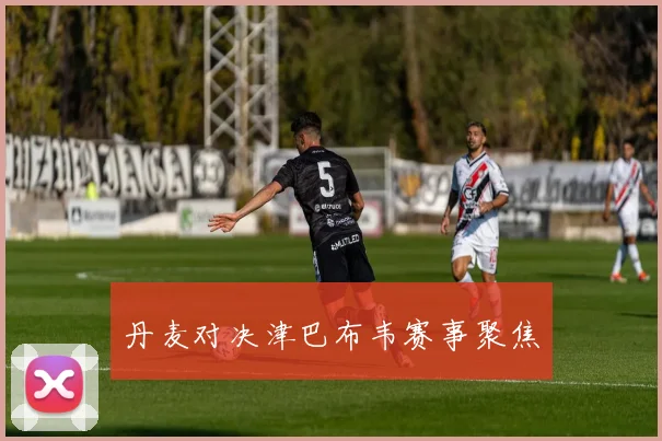 丹麦对决津巴布韦赛事聚焦