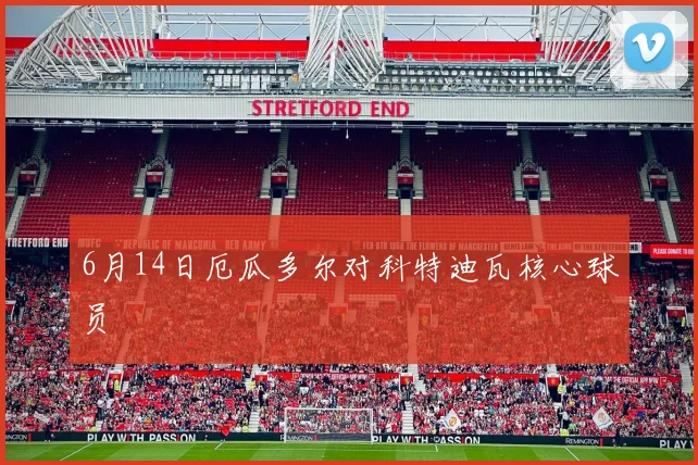 6月14日厄瓜多尔对科特迪瓦核心球员