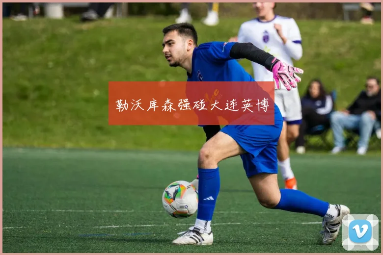 勒沃库森强碰大连英博