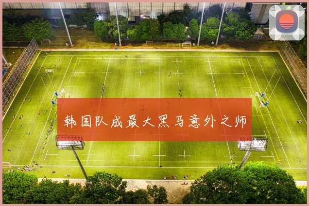 韩国队成最大黑马意外之师