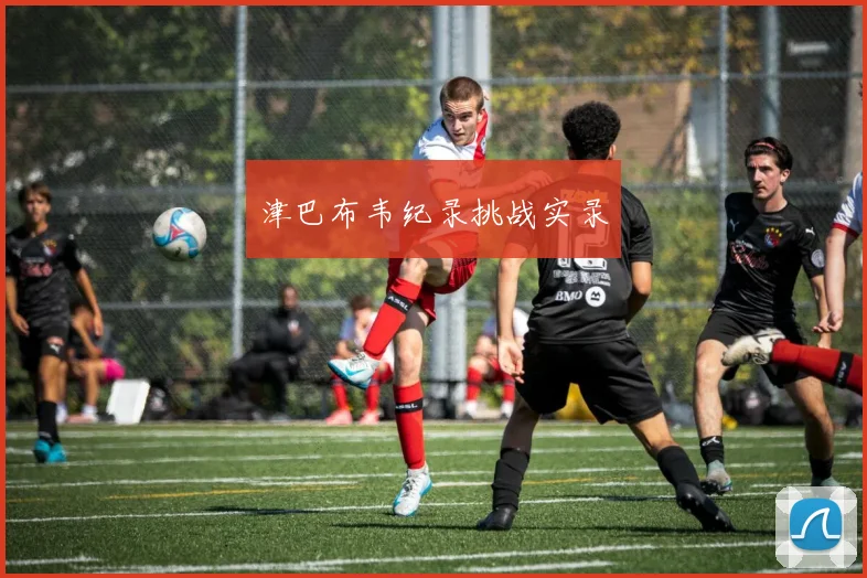 津巴布韦纪录挑战实录