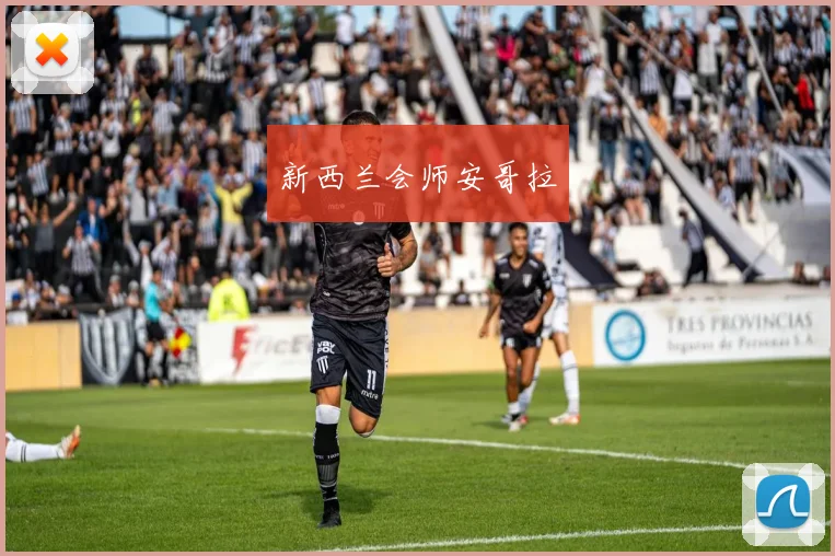 新西兰会师安哥拉