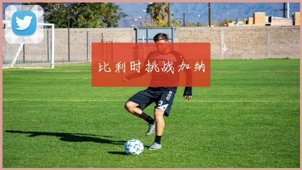 开运体育 - 比利时挑战加纳