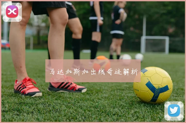 马达加斯加出线奇迹解析