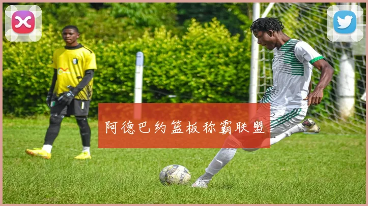 阿德巴约篮板称霸联盟