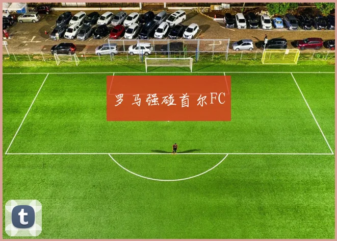 开运体育 - 罗马强碰首尔FC