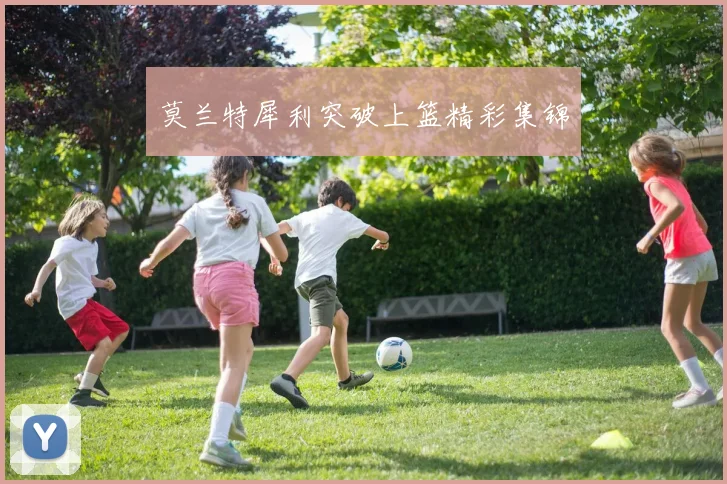 莫兰特犀利突破上篮精彩集锦