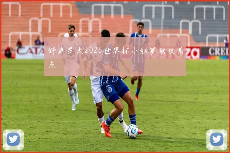 舒库罗夫2026世界杯小组赛助攻看点