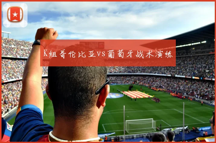 K组哥伦比亚vs葡萄牙战术演练