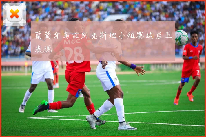 葡萄牙乌兹别克斯坦小组赛边后卫表现