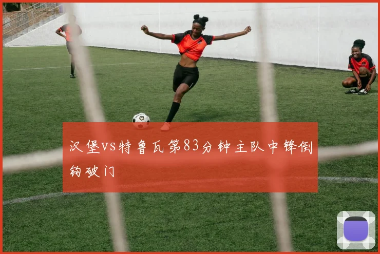 汉堡vs特鲁瓦第83分钟主队中锋倒钩破门