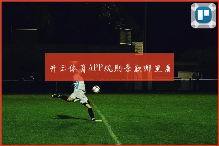 开云体育APP规则条款哪里看