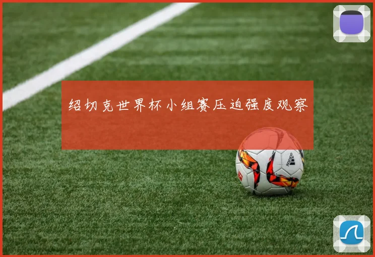 绍切克世界杯小组赛压迫强度观察